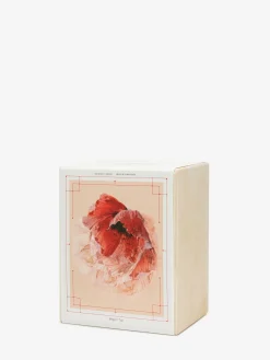 Hot Alexander McQueen Pagan Rose Candle in Black