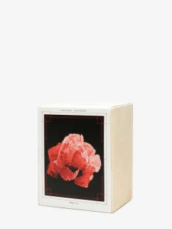 Shop Alexander McQueen Savage Bloom Candle in Black