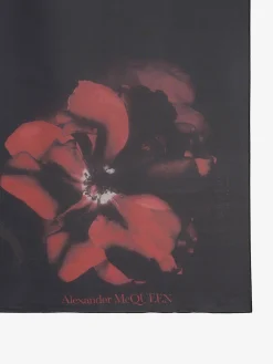 New Alexander McQueen Women's Shadow Rose Shawl in Black/Red/Green